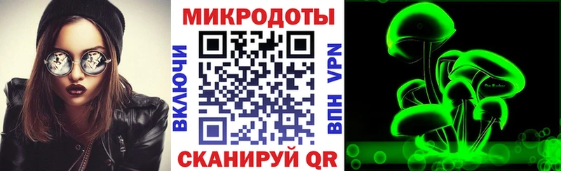Галлюциногенные грибы мухоморы  Салаир 