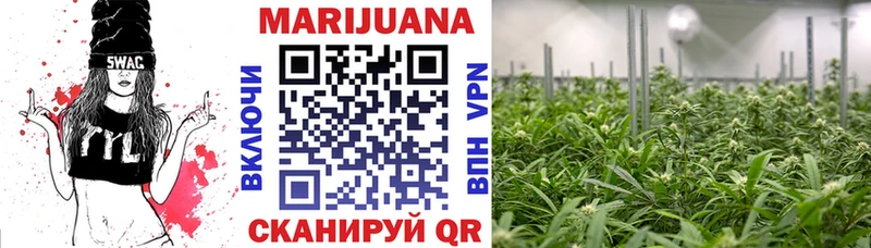 что такое   Салаир  Бошки Шишки Bruce Banner 